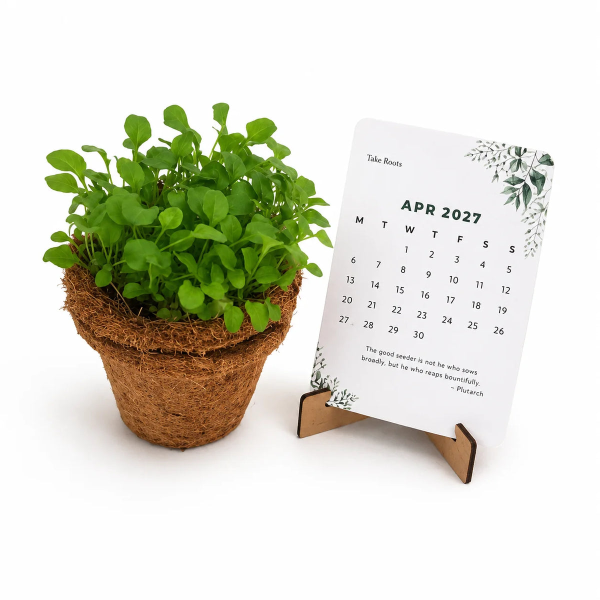 ECO21- BioQ Plantable Calendar (MDF, B7)