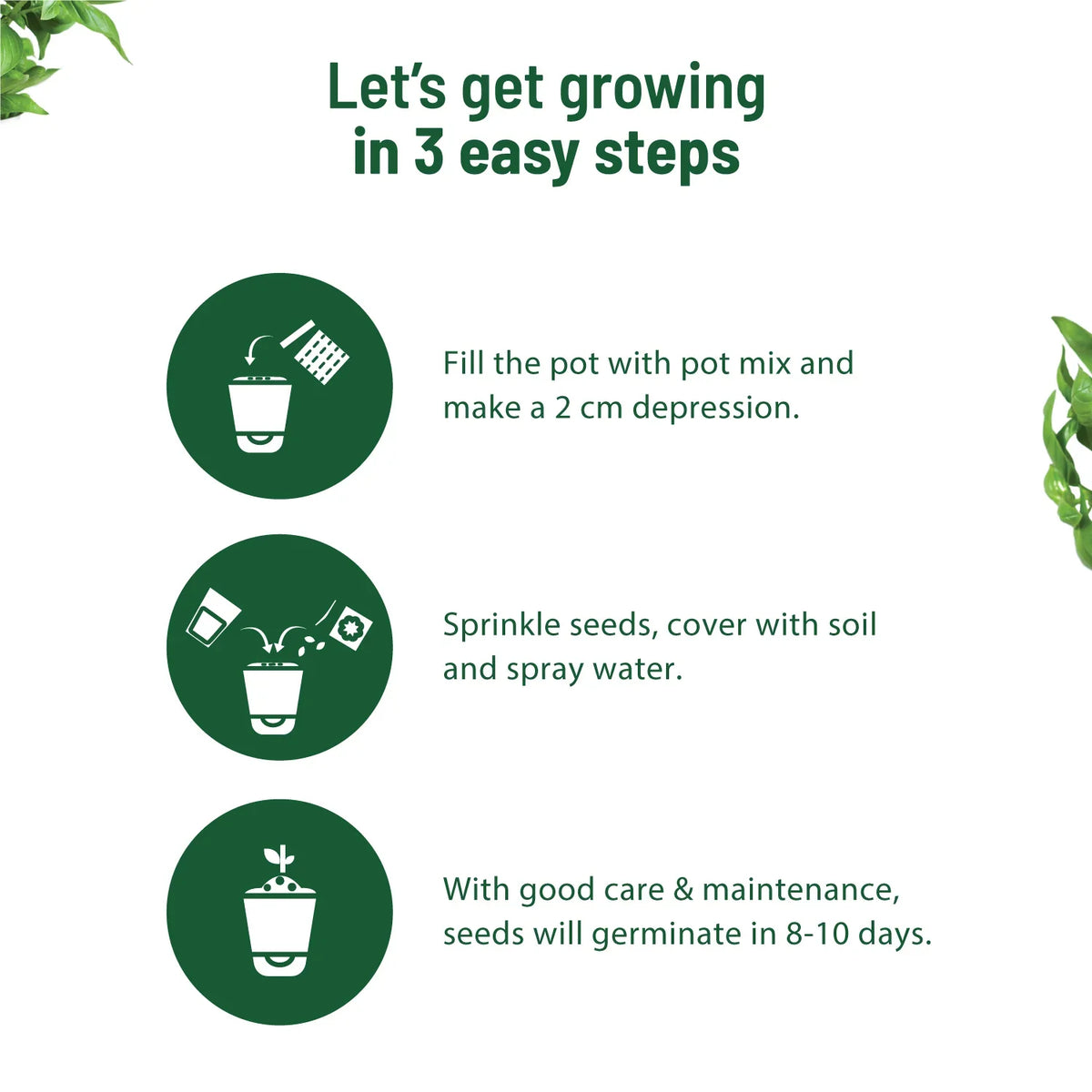 Italian Basil Kit - official Pot & Bloom image