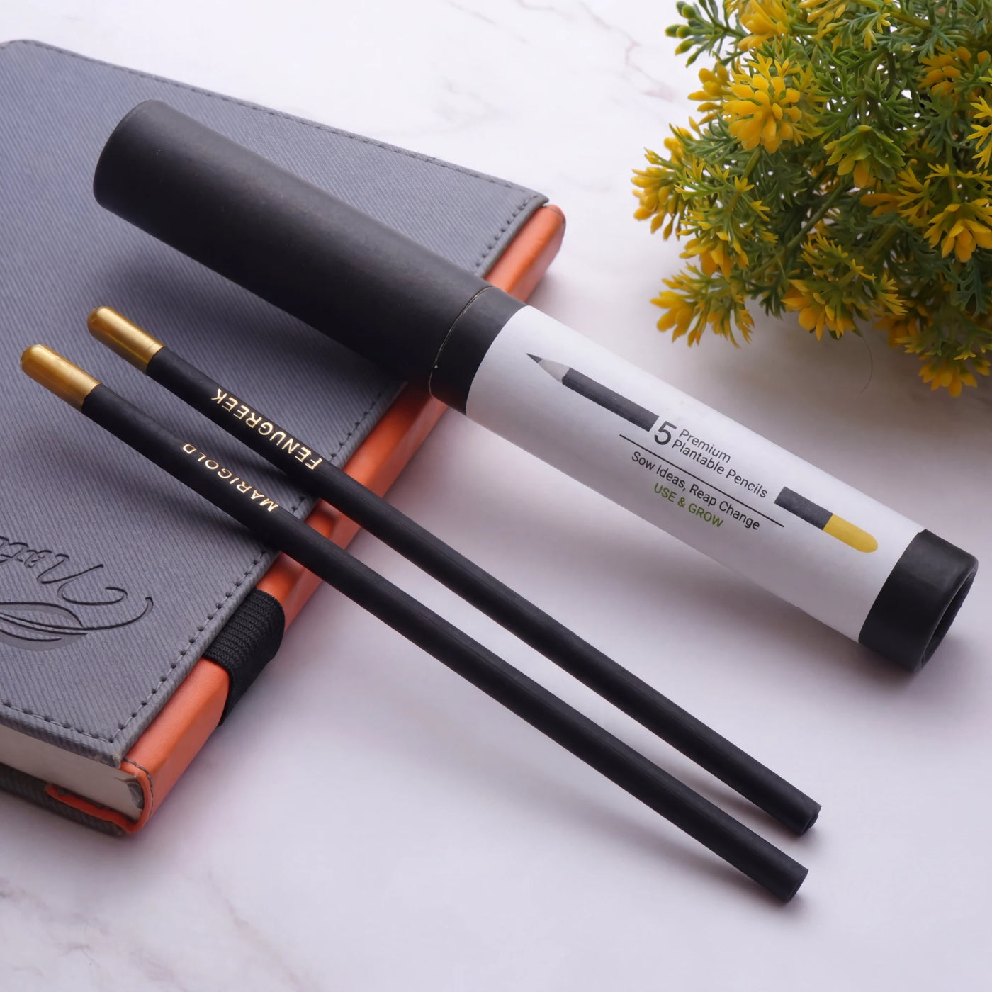 ECO03- BioQ Plantable Pencil Set of 5