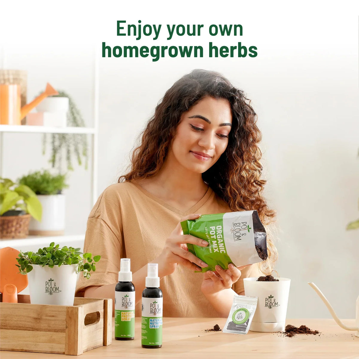 Oregano Kit - official Pot & Bloom image