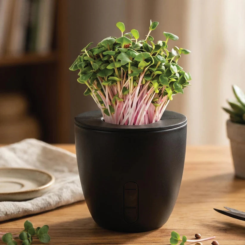 PT07- EO EcoRoot Planter