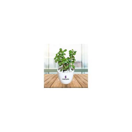 CR04-102 - Ceramic Round Pot - Jade