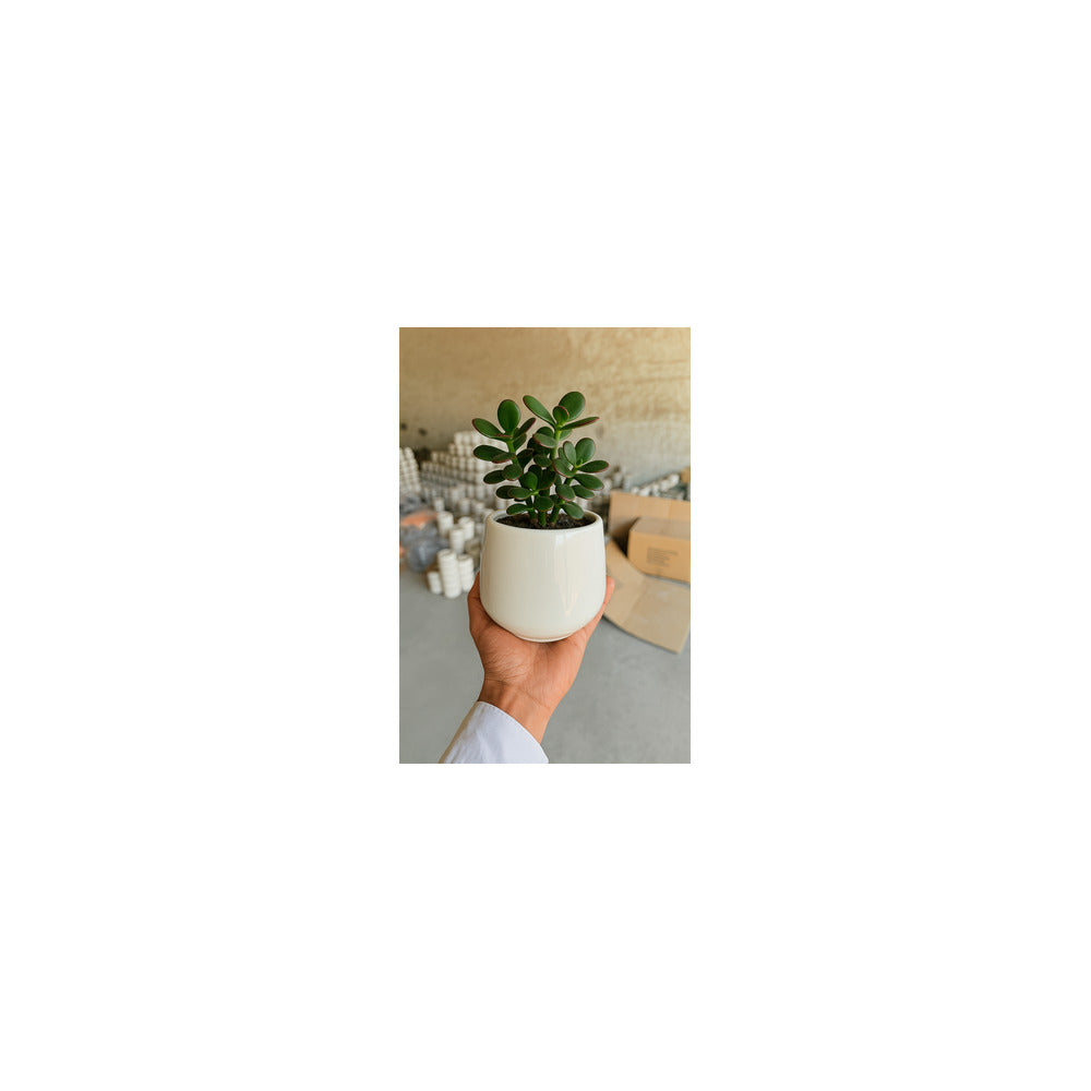CR04-105 - Ceramic Matka Pot - Jade