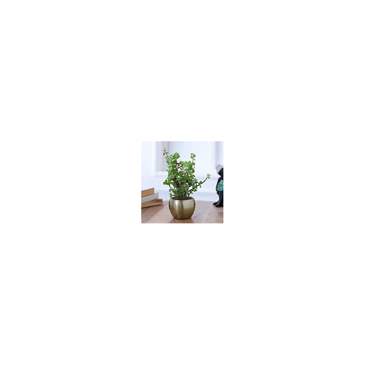 ME03-101 - Metal Round Pot - Jade
