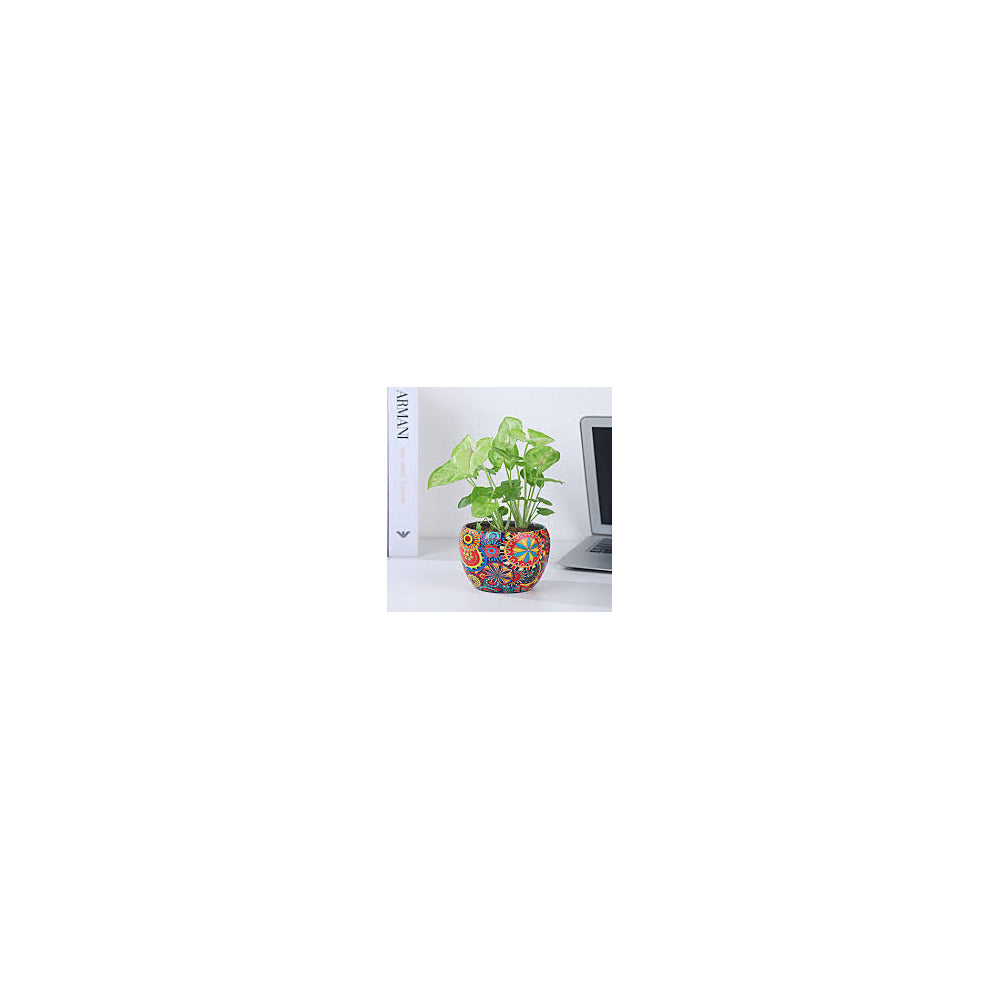 ME03-104 - Metal Round Pot - Syngonium