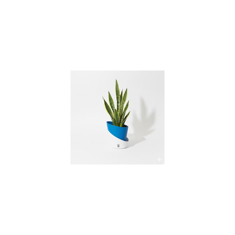 SW04-102 - Self Watering Pot - Snake Plant